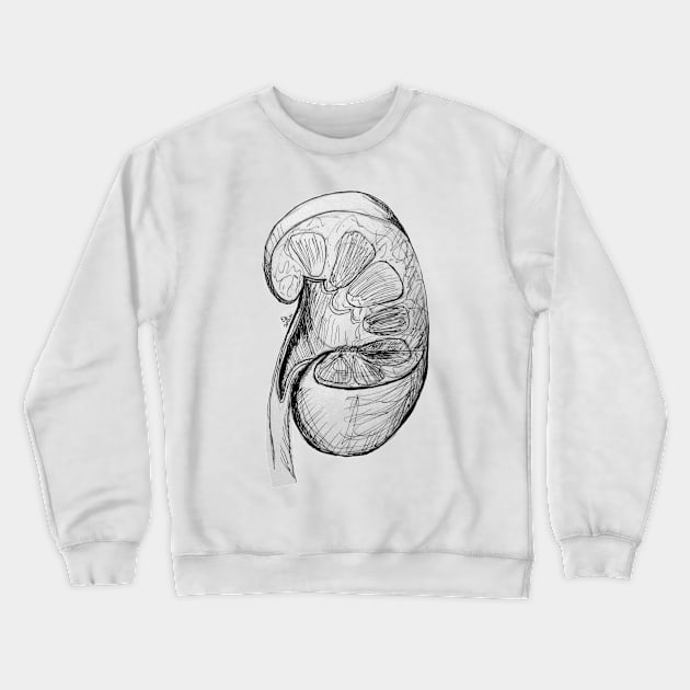 Pen and Ink Kidney Illustration/Sketch Crewneck Sweatshirt by emadamsinc